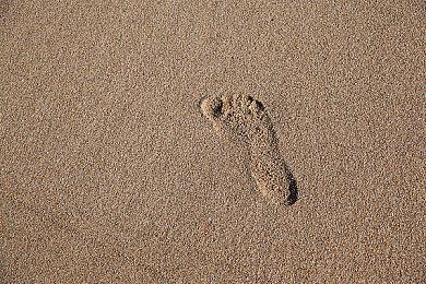 虚幻5第三人称合作射击游戏《第一后裔》实机演示